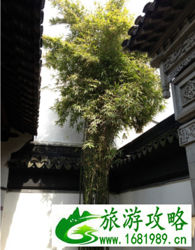 阳澄湖有什么好玩的 阳澄湖有什么好吃的 阳澄湖有什么好玩的 阳澄湖有什么好吃的