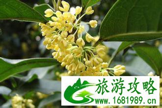 阳澄湖有什么好玩的 阳澄湖有什么好吃的 阳澄湖有什么好玩的 阳澄湖有什么好吃的