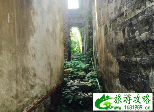 陆巷在哪儿  陆巷有什么好玩的景点