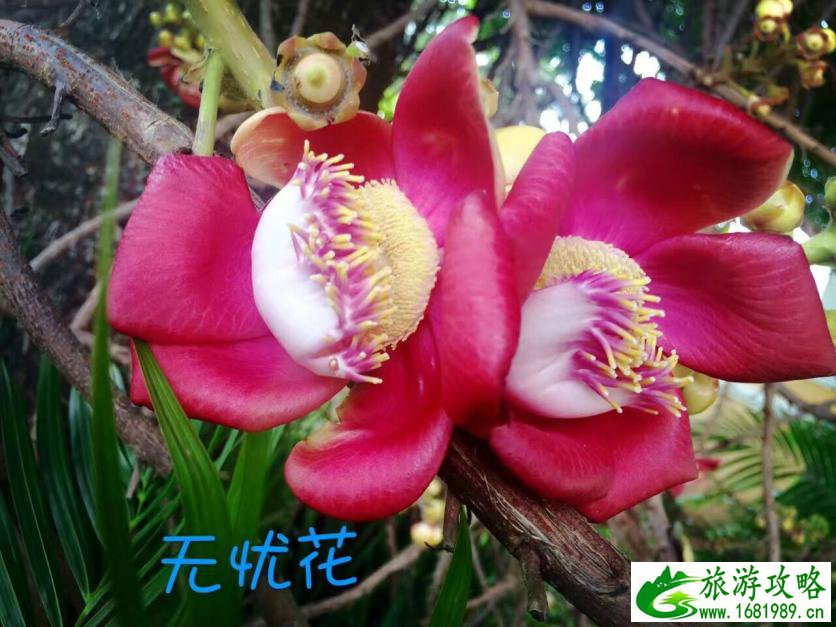 柬埔寨有很么好玩的 柬埔寨有哪些景点 柬埔寨有很么好玩的 柬埔寨有哪些景点