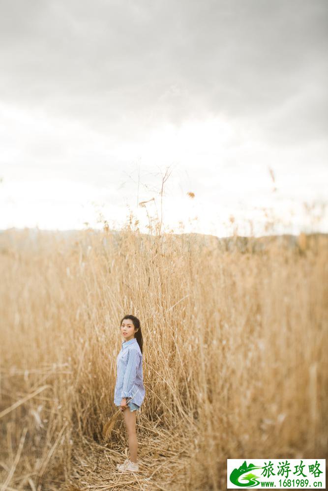 束河古镇有什么好玩的 束河古镇旅游攻略2017