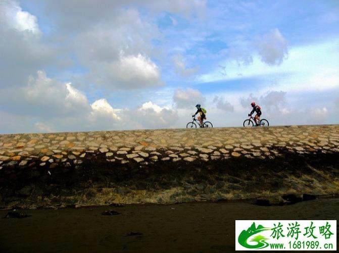 金山嘴渔村好玩吗 金山嘴渔村旅游攻略2017
