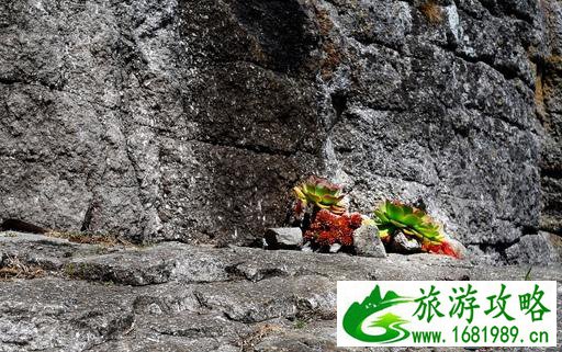 彭赞斯自由行攻略 彭赞斯有什么好玩的地方