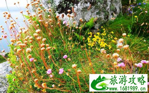 彭赞斯自由行攻略 彭赞斯有什么好玩的地方