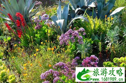 彭赞斯自由行攻略 彭赞斯有什么好玩的地方
