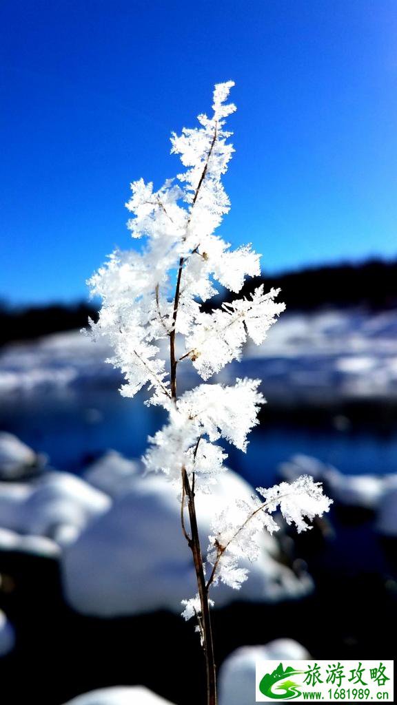 呼伦贝尔有哪些景区 呼伦贝尔旅游攻略2017