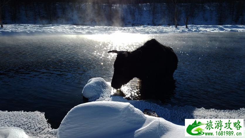 呼伦贝尔有哪些景区 呼伦贝尔旅游攻略2017