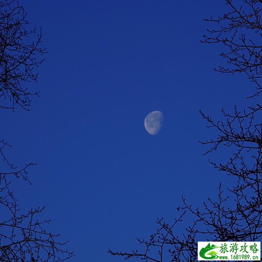 呼伦贝尔有哪些景区 呼伦贝尔旅游攻略2017