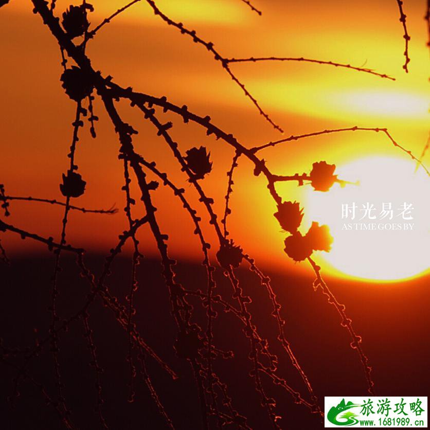 呼伦贝尔有哪些景区 呼伦贝尔旅游攻略2017