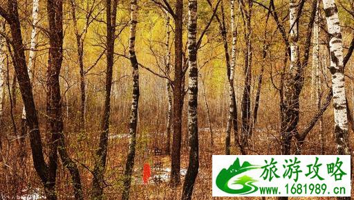 呼伦贝尔有哪些景区 呼伦贝尔旅游攻略2017