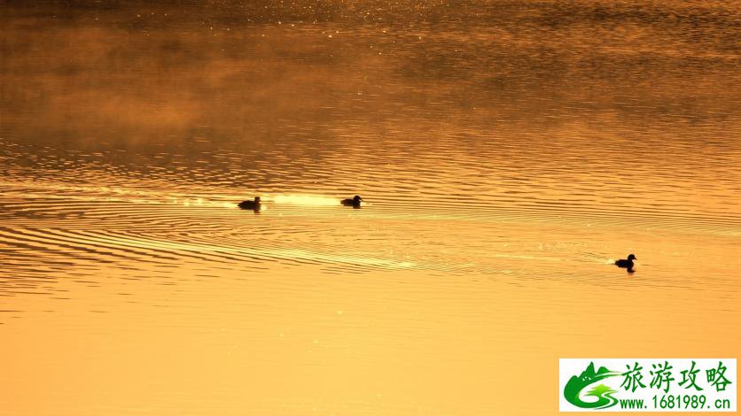 呼伦贝尔有哪些景区 呼伦贝尔旅游攻略2017