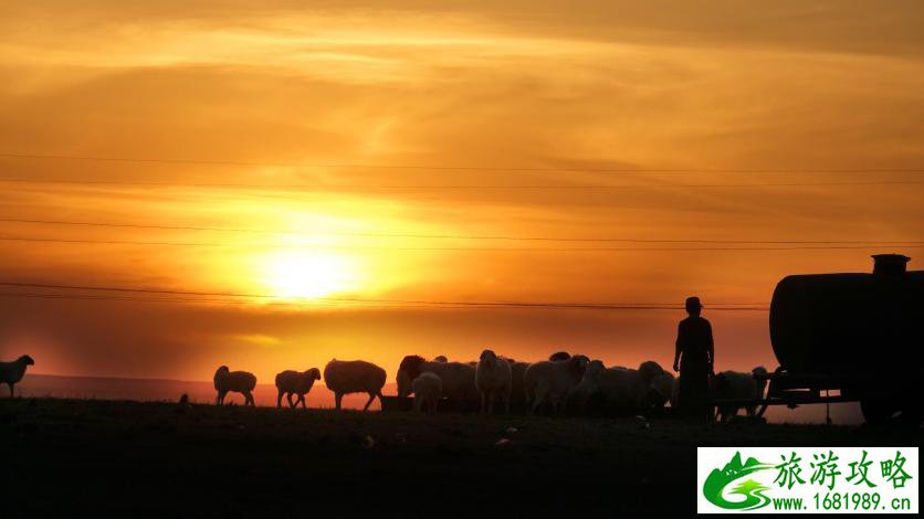 呼伦贝尔有哪些景区 呼伦贝尔旅游攻略2017
