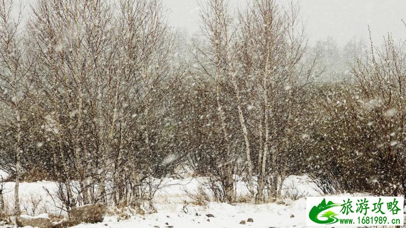 呼伦贝尔有哪些景区 呼伦贝尔旅游攻略2017