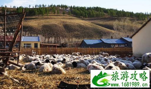 呼伦贝尔有哪些景区 呼伦贝尔旅游攻略2017