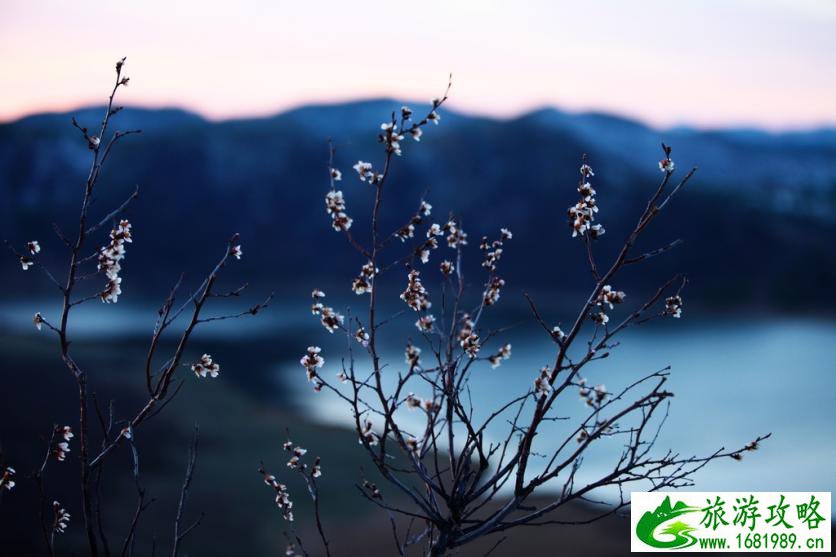 呼伦贝尔有哪些景区 呼伦贝尔旅游攻略2017