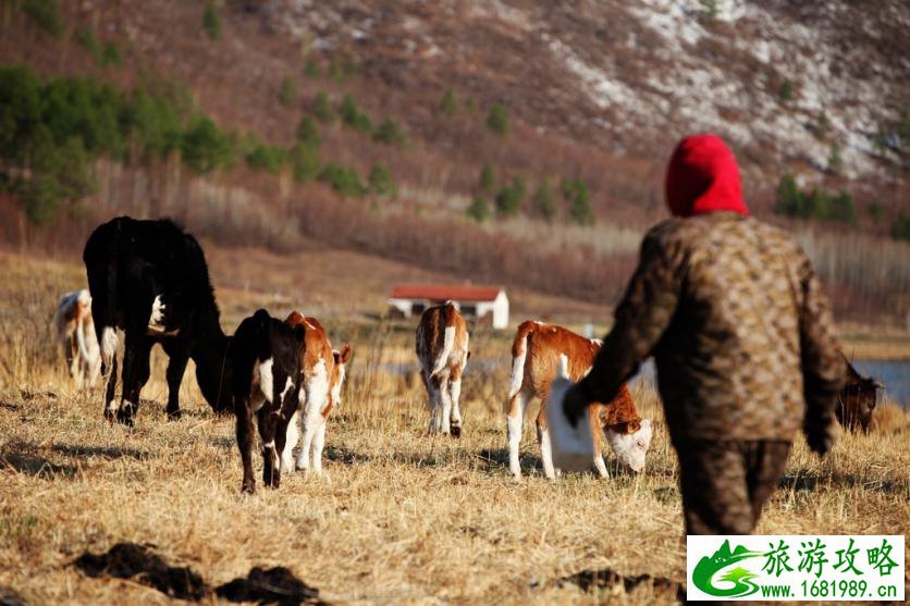呼伦贝尔有哪些景区 呼伦贝尔旅游攻略2017