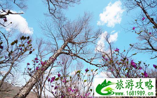 呼伦贝尔有哪些景区 呼伦贝尔旅游攻略2017