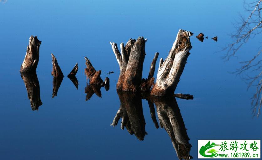 呼伦贝尔有哪些景区 呼伦贝尔旅游攻略2017