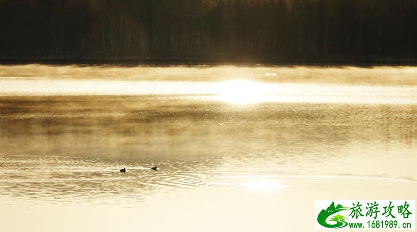 呼伦贝尔有哪些景区 呼伦贝尔旅游攻略2017
