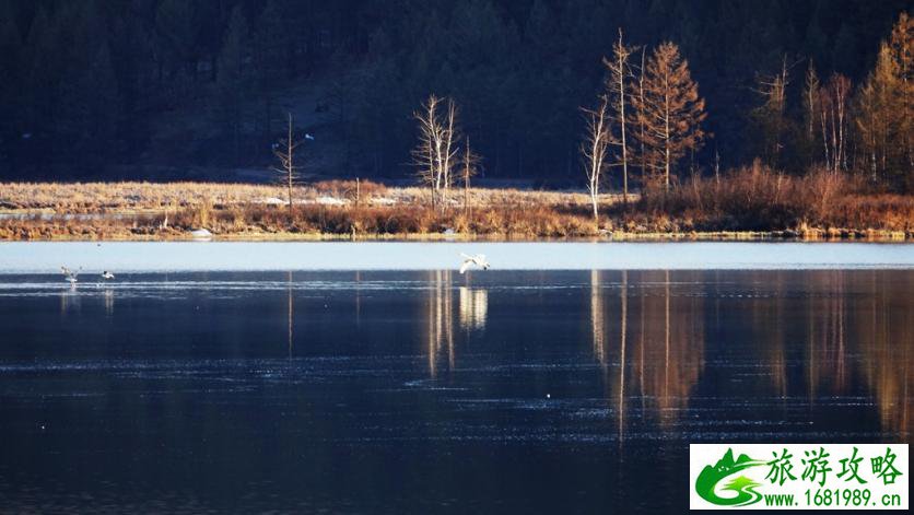 呼伦贝尔有哪些景区 呼伦贝尔旅游攻略2017