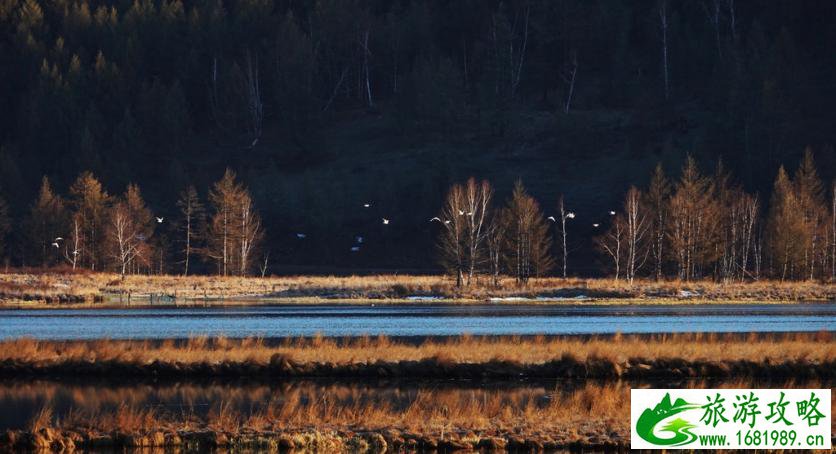 呼伦贝尔有哪些景区 呼伦贝尔旅游攻略2017