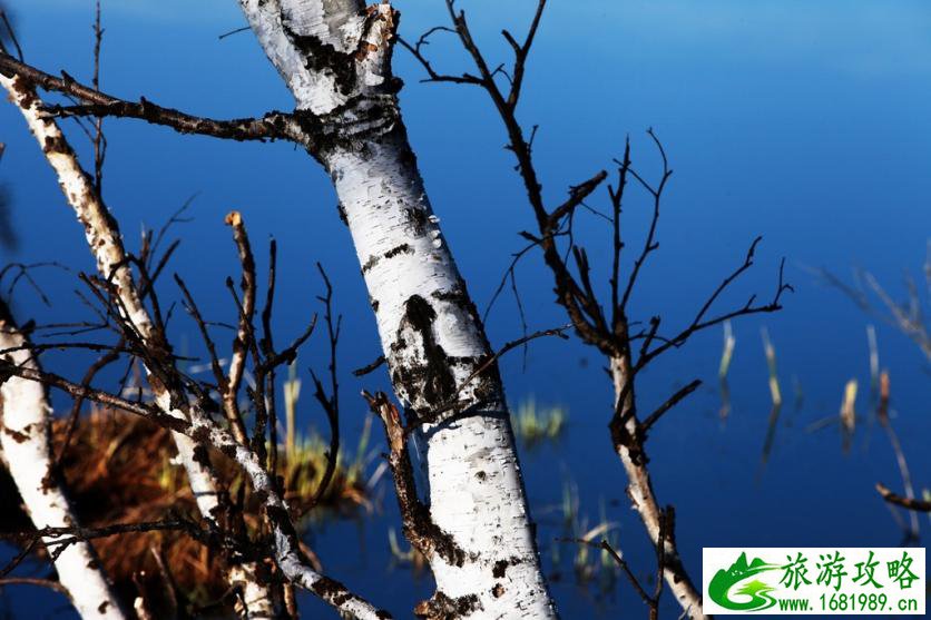 呼伦贝尔有哪些景区 呼伦贝尔旅游攻略2017
