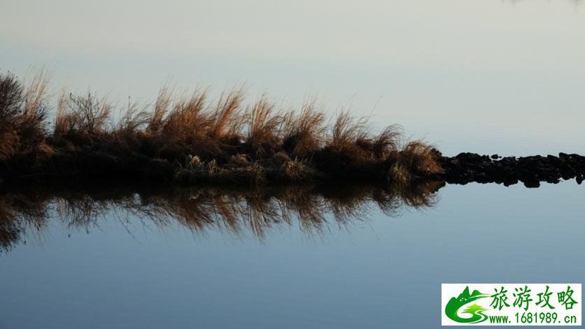 呼伦贝尔有哪些景区 呼伦贝尔旅游攻略2017