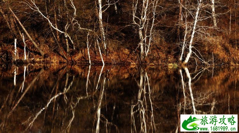 呼伦贝尔有哪些景区 呼伦贝尔旅游攻略2017