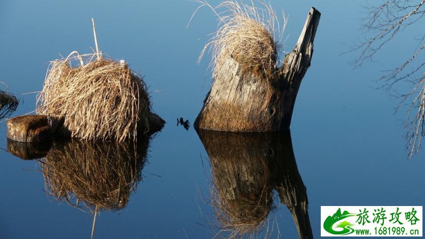 呼伦贝尔有哪些景区 呼伦贝尔旅游攻略2017
