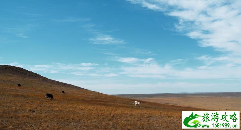 呼伦贝尔有哪些景区 呼伦贝尔旅游攻略2017