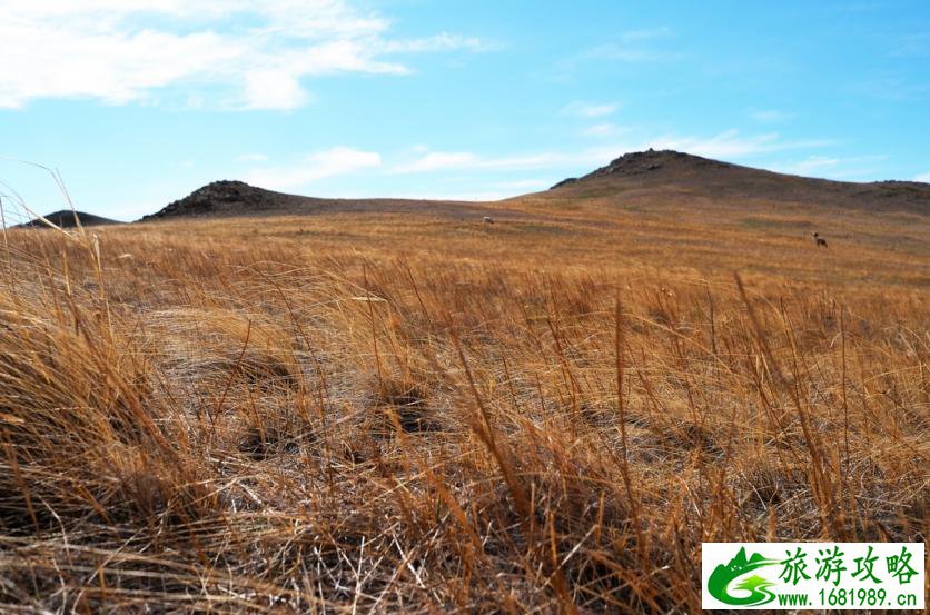 呼伦贝尔有哪些景区 呼伦贝尔旅游攻略2017