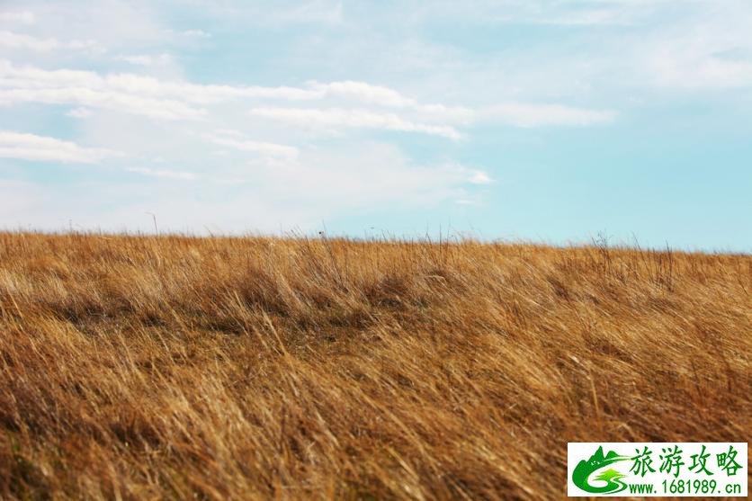 呼伦贝尔有哪些景区 呼伦贝尔旅游攻略2017