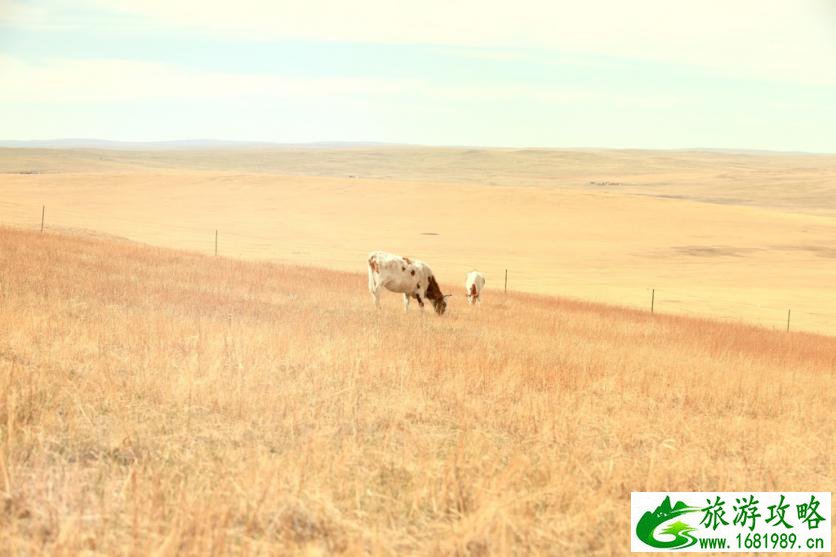 呼伦贝尔有哪些景区 呼伦贝尔旅游攻略2017