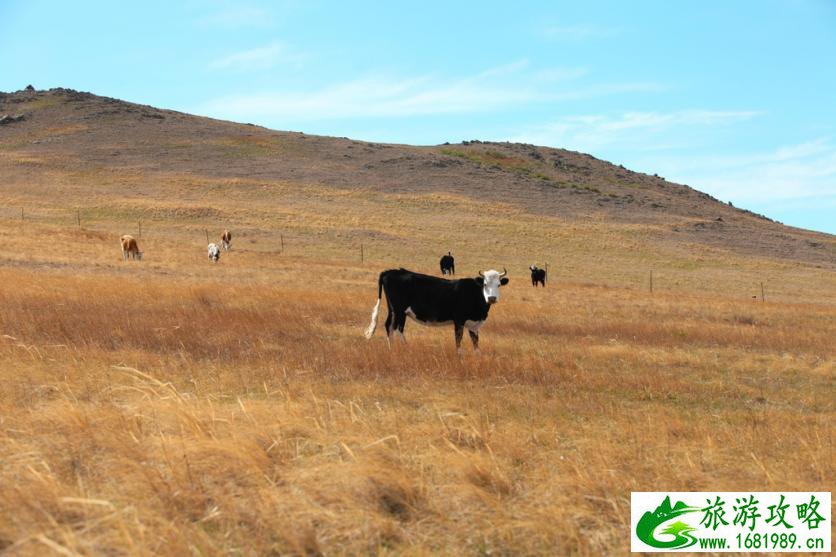 呼伦贝尔有哪些景区 呼伦贝尔旅游攻略2017