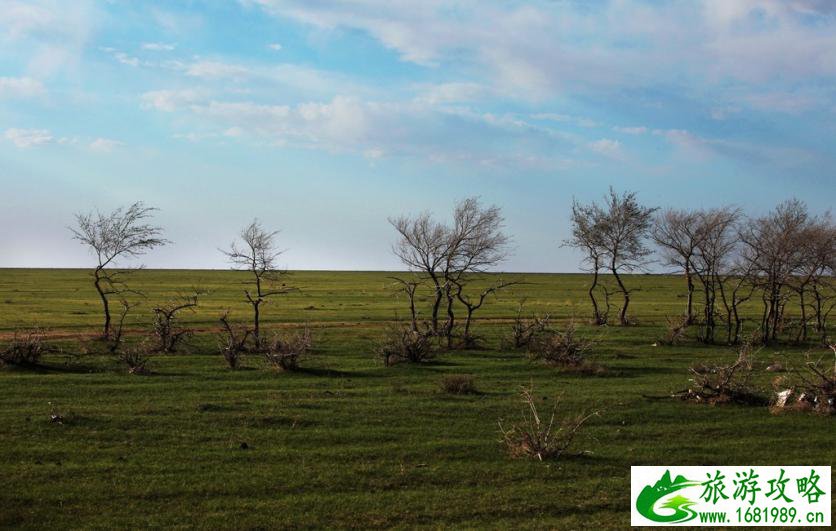 呼伦贝尔有哪些景区 呼伦贝尔旅游攻略2017