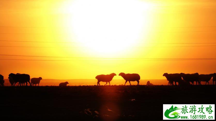 呼伦贝尔有哪些景区 呼伦贝尔旅游攻略2017