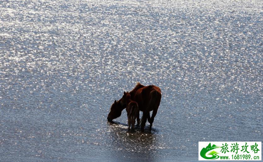 呼伦贝尔有哪些景区 呼伦贝尔旅游攻略2017