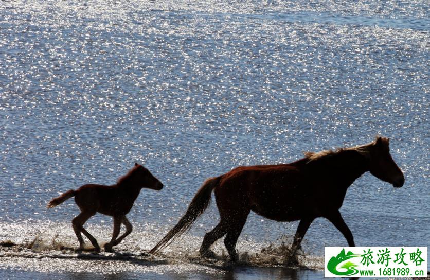 呼伦贝尔有哪些景区 呼伦贝尔旅游攻略2017