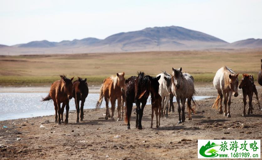 呼伦贝尔有哪些景区 呼伦贝尔旅游攻略2017