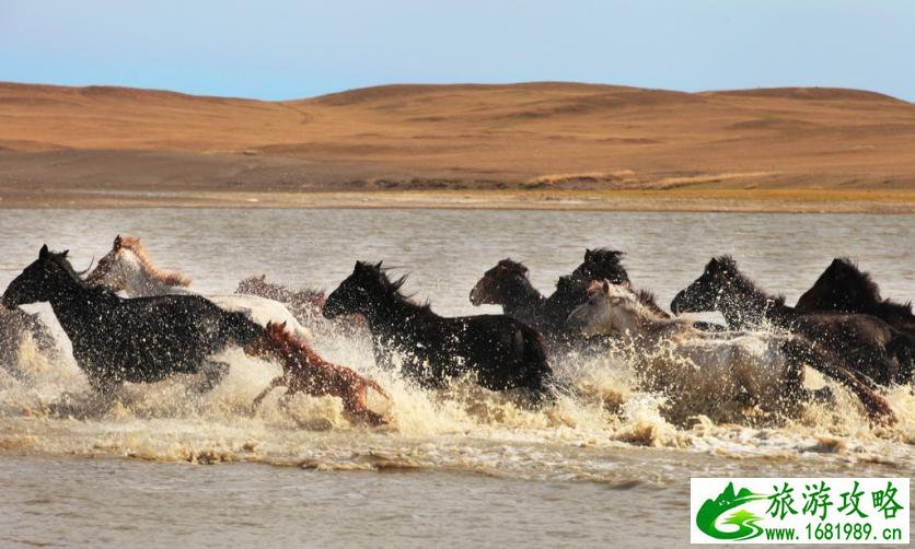 呼伦贝尔有哪些景区 呼伦贝尔旅游攻略2017
