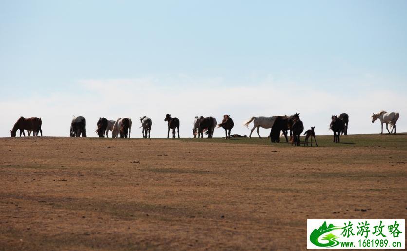 呼伦贝尔有哪些景区 呼伦贝尔旅游攻略2017