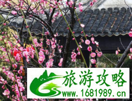 南通的那个山为什么叫狼山 狼山游记作文 南通的那个山为什么叫狼山 狼山游记作文