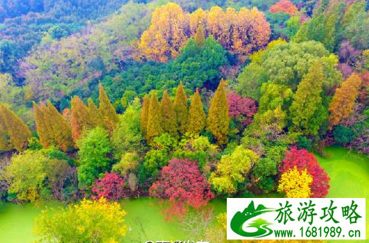 南通的那个山为什么叫狼山 狼山游记作文 南通的那个山为什么叫狼山 狼山游记作文
