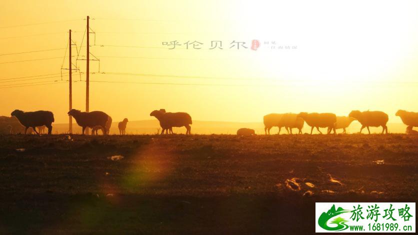 呼伦贝尔有哪些景区 呼伦贝尔旅游攻略2017