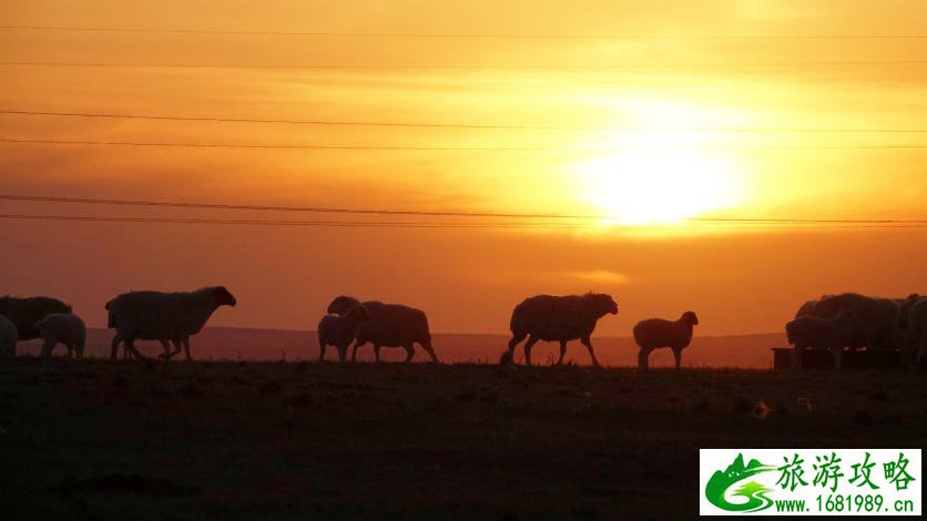 呼伦贝尔有哪些景区 呼伦贝尔旅游攻略2017