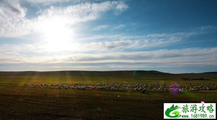呼伦贝尔有哪些景区 呼伦贝尔旅游攻略2017