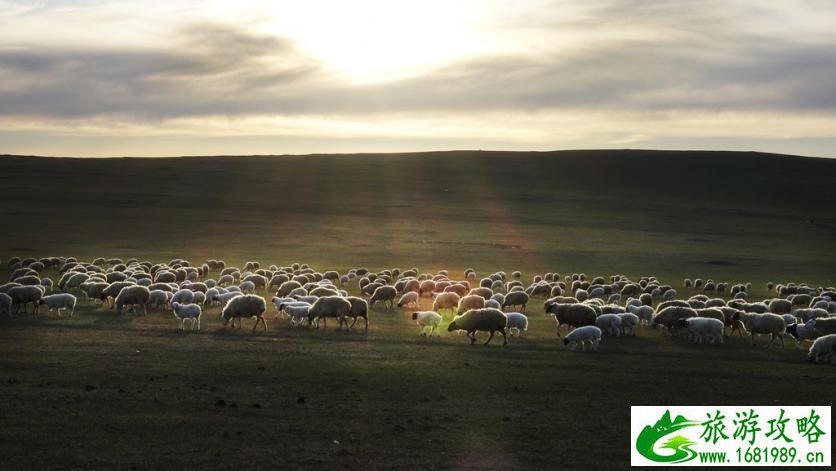 呼伦贝尔有哪些景区 呼伦贝尔旅游攻略2017