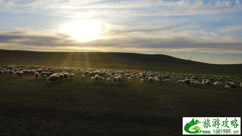 呼伦贝尔有哪些景区 呼伦贝尔旅游攻略2017