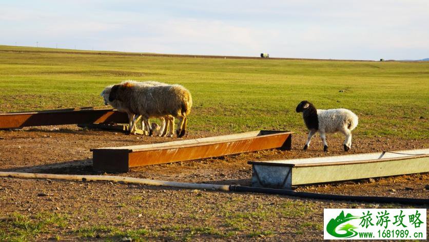 呼伦贝尔有哪些景区 呼伦贝尔旅游攻略2017