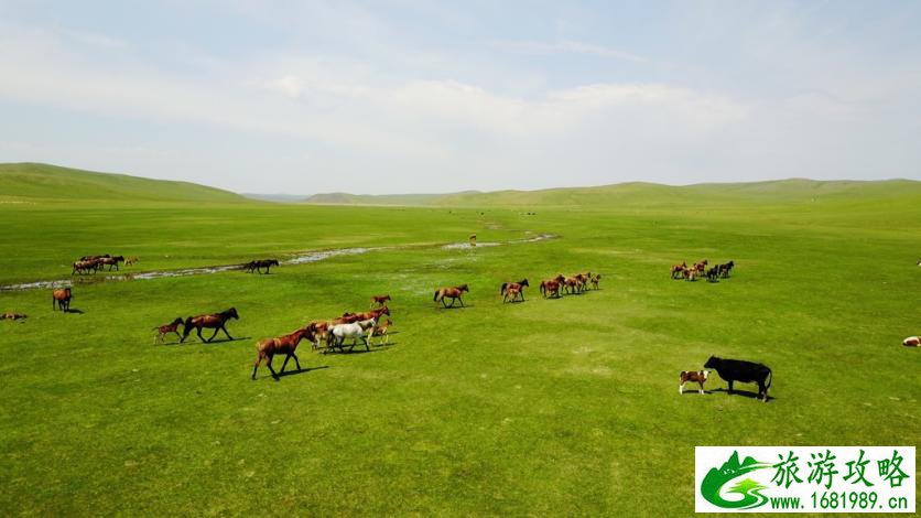 呼伦贝尔有哪些景区 呼伦贝尔旅游攻略2017